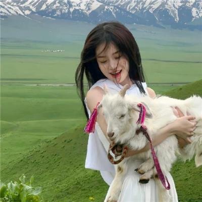 狗狗与我的十个约定